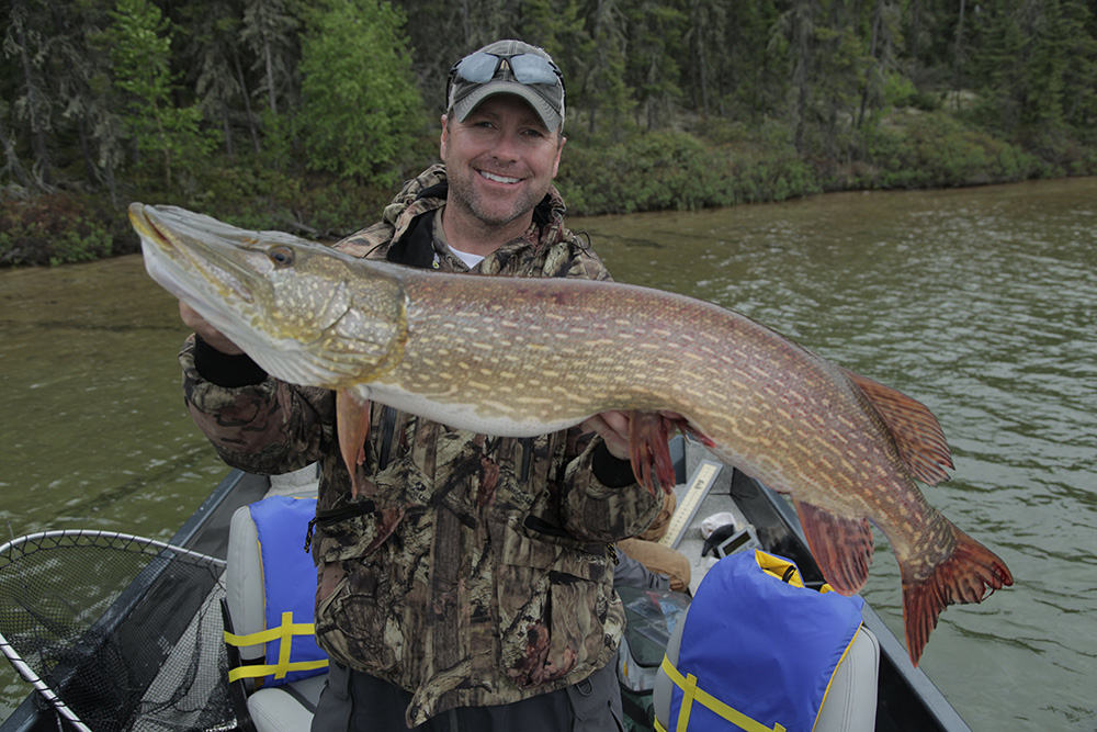 Monster Pike and Lake trout at Cree Lake Lodge - Driven with Pat & Nicole